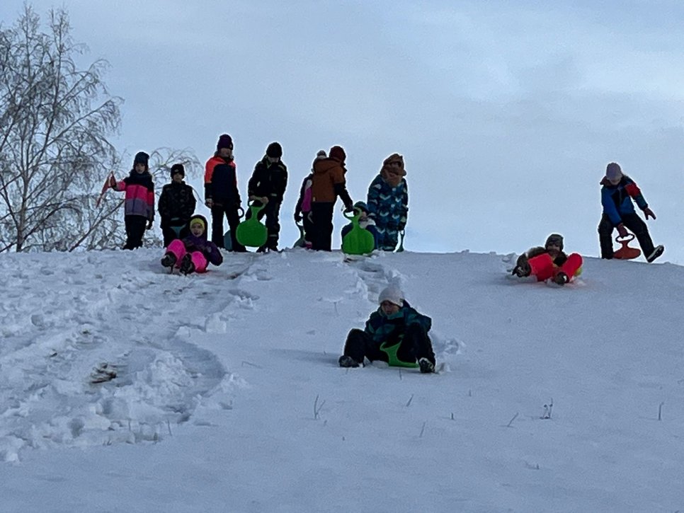 WhatsApp_Image_2026-02-01_at_10